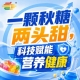 金秋金陵，第115届秋季全国糖酒会，食饮新包装，创意无限